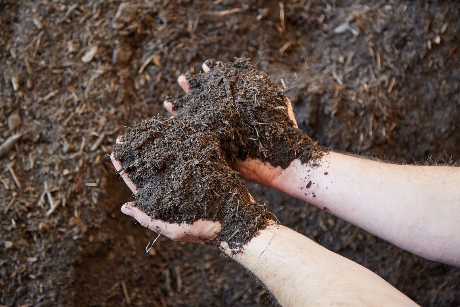 Compost